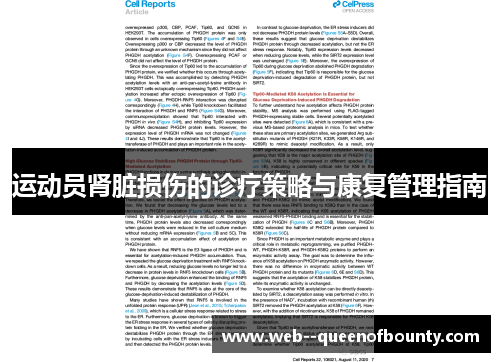 运动员肾脏损伤的诊疗策略与康复管理指南 运动员肾脏损伤的诊疗策略与康复管理指南